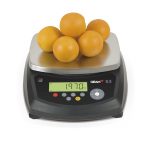 portable digital weighing scale